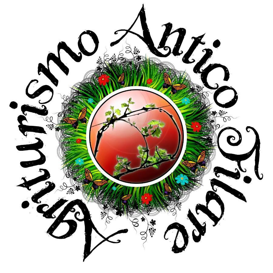 Agriturismo Antico Filare Bianzone Luaran gambar
