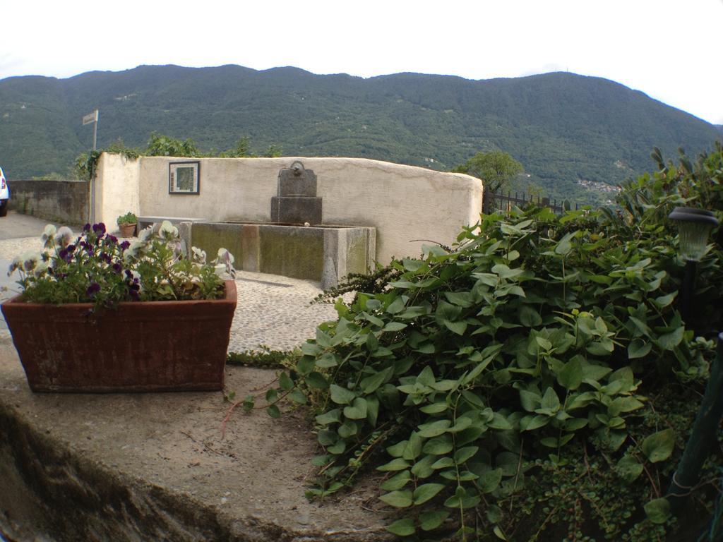 Agriturismo Antico Filare Bianzone Luaran gambar